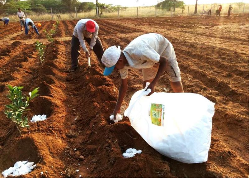 印度試驗(yàn)項(xiàng)目